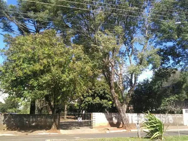 EXCELENTE TERRENO CENTRO COM 1.485m2