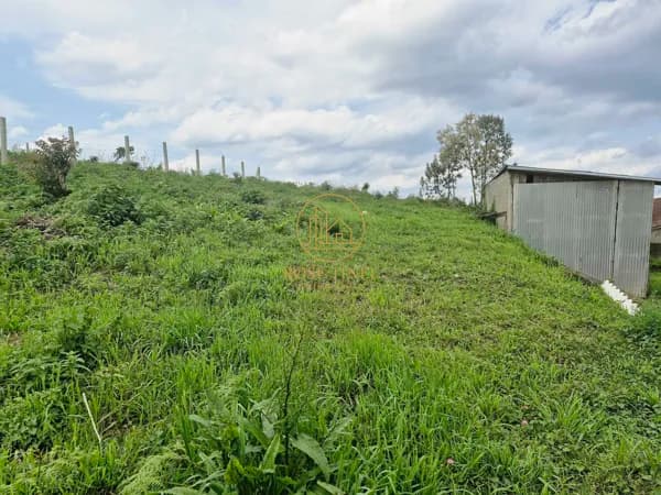 Lote/Terreno em São Bento do Sul - Serra Alta