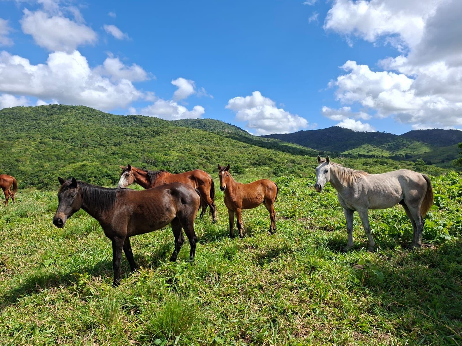 Fazenda Vale da Serra