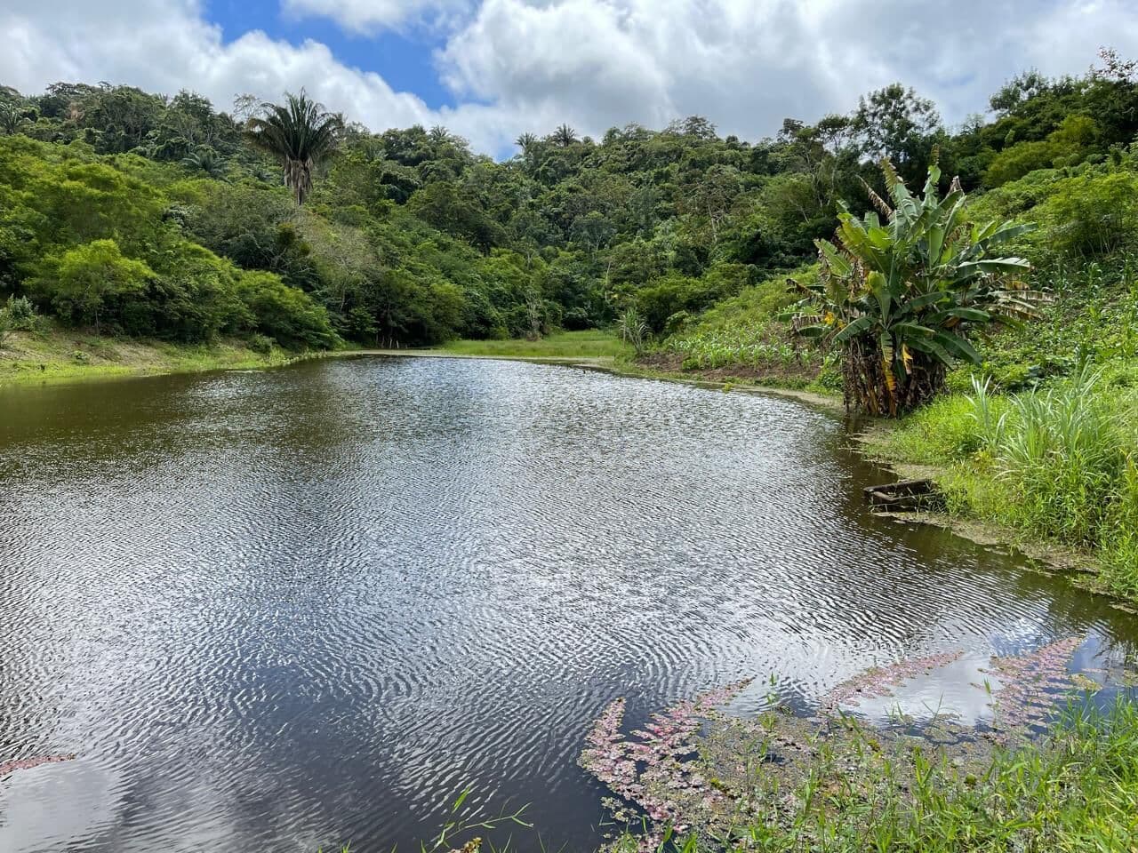 Fazenda/Sítios/Chácaras em Borborema - Centro