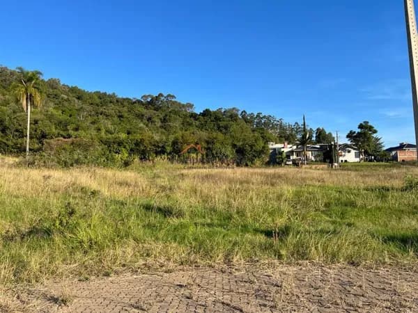 Lote/Terreno em Teutônia - Centro