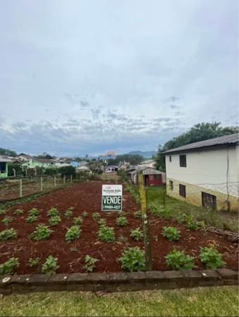Lote/Terreno em Teutônia - Alesgut