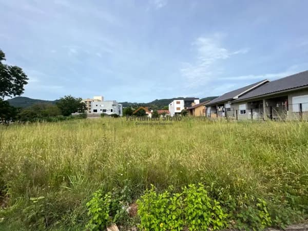 Lote/Terreno em Westfália - Centro