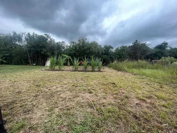 Lote/Terreno em Teutônia - Centro