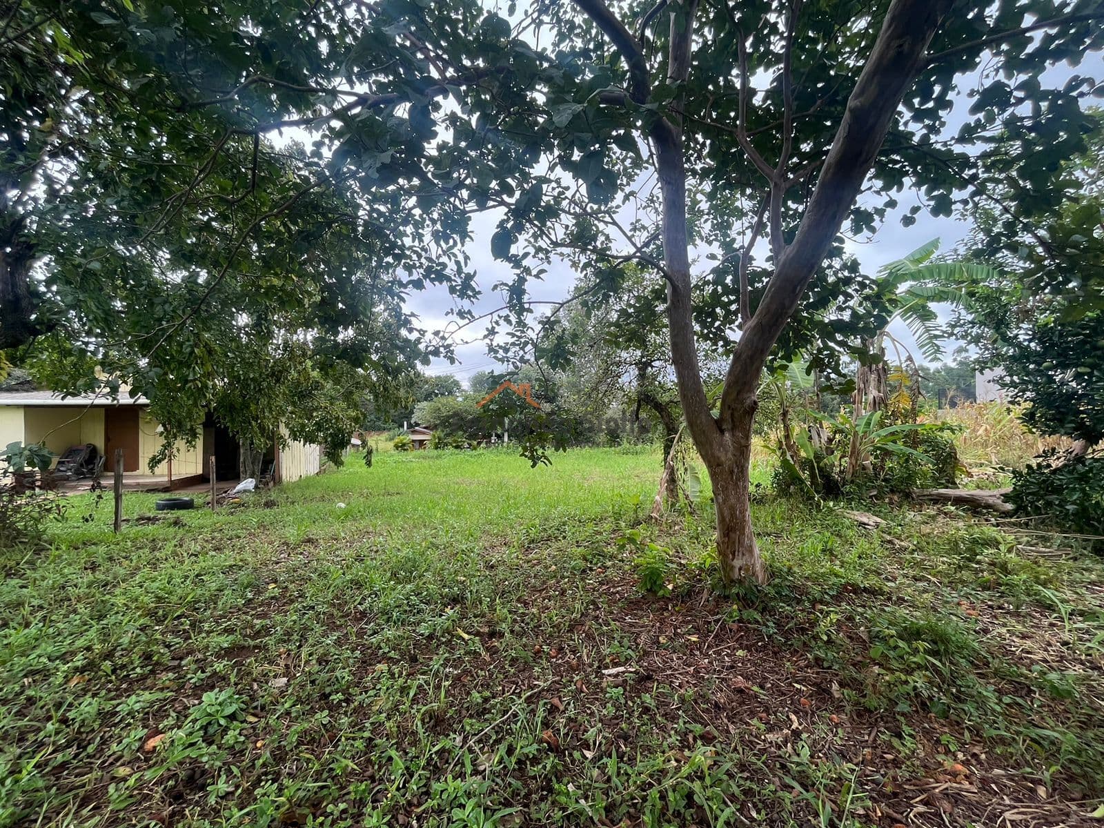Lote/Terreno em Teutônia - Languiru