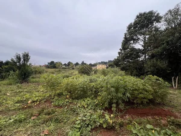 Terreno Lote em Weber, Três Passos/RS