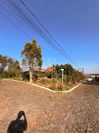 Lote/Terreno em Dois Irmãos - Primavera