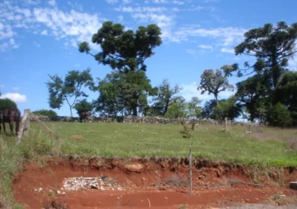 Lote/Terreno em Dois Irmãos - São João