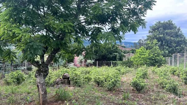 Terreno em União, Dois Irmãos/RS