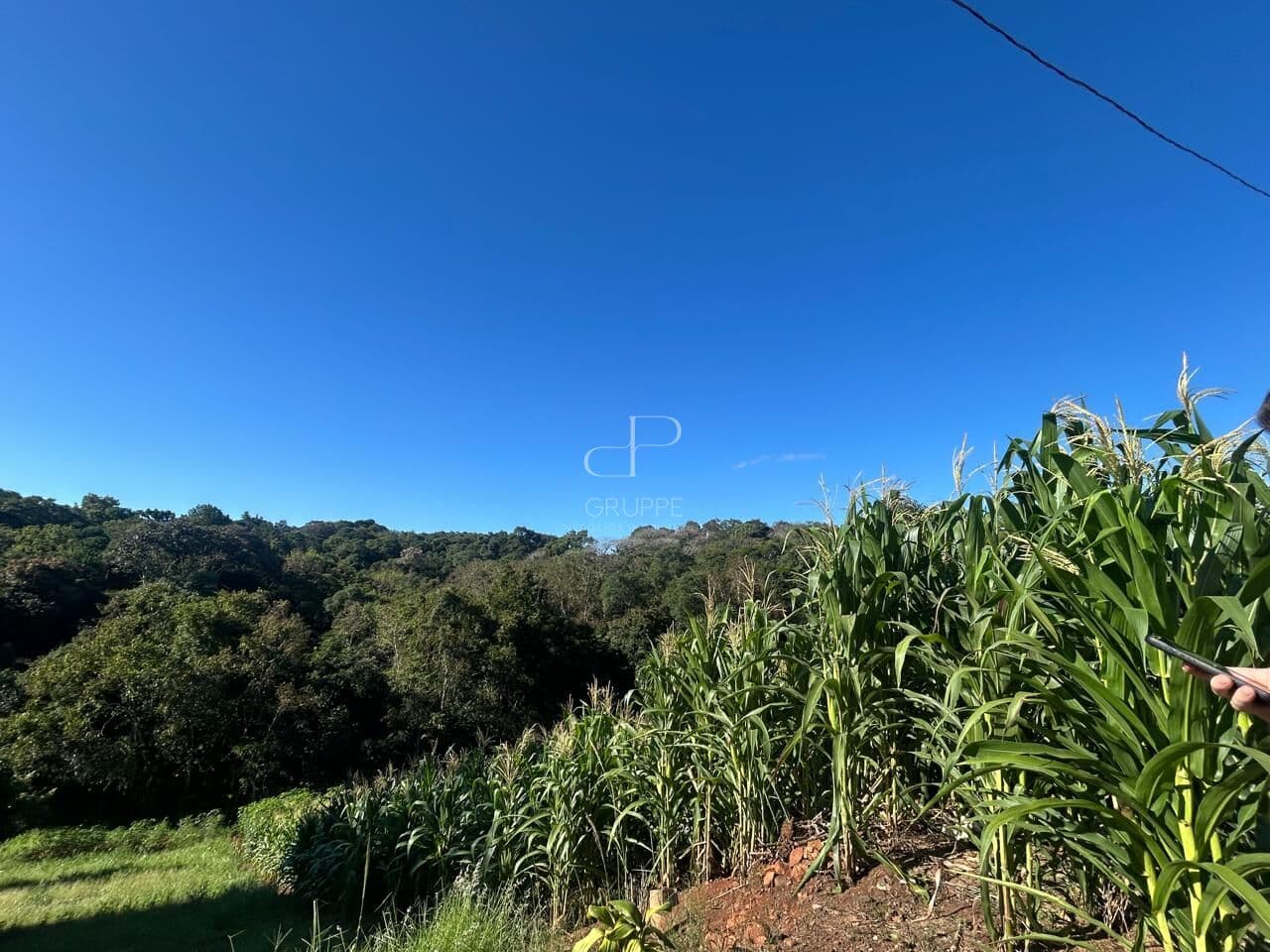 Terreno em Industrial, Dois Irmãos/RS