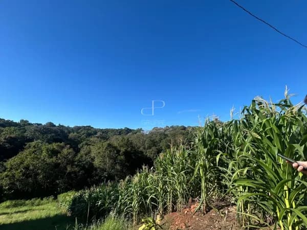 Terreno em Industrial, Dois Irmãos/RS