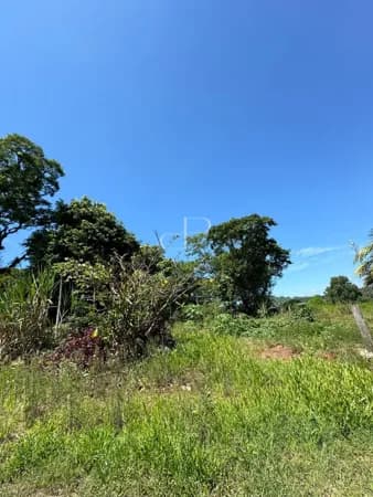Lote/Terreno em Dois Irmãos - Vila Rosa