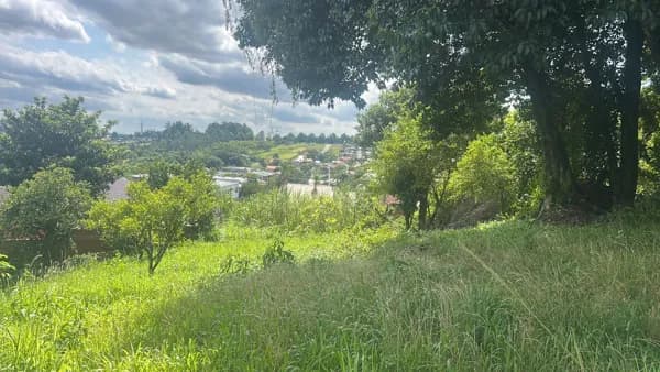 Terreno em Floresta, Dois Irmãos/RS