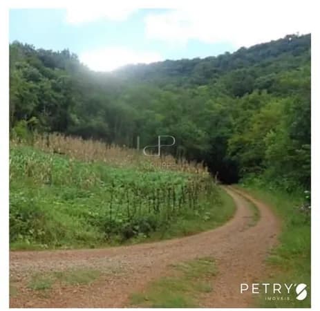 Fazenda/Sítios/Chácaras em Santa Maria do Herval - Centro
