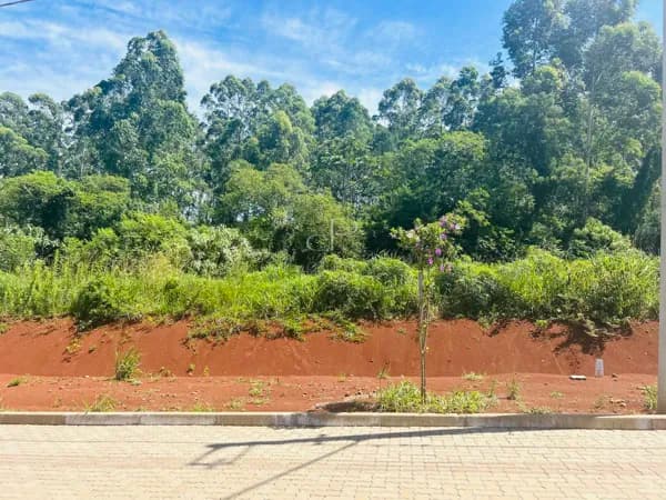 Lote/Terreno em Dois Irmãos - Vale Direito