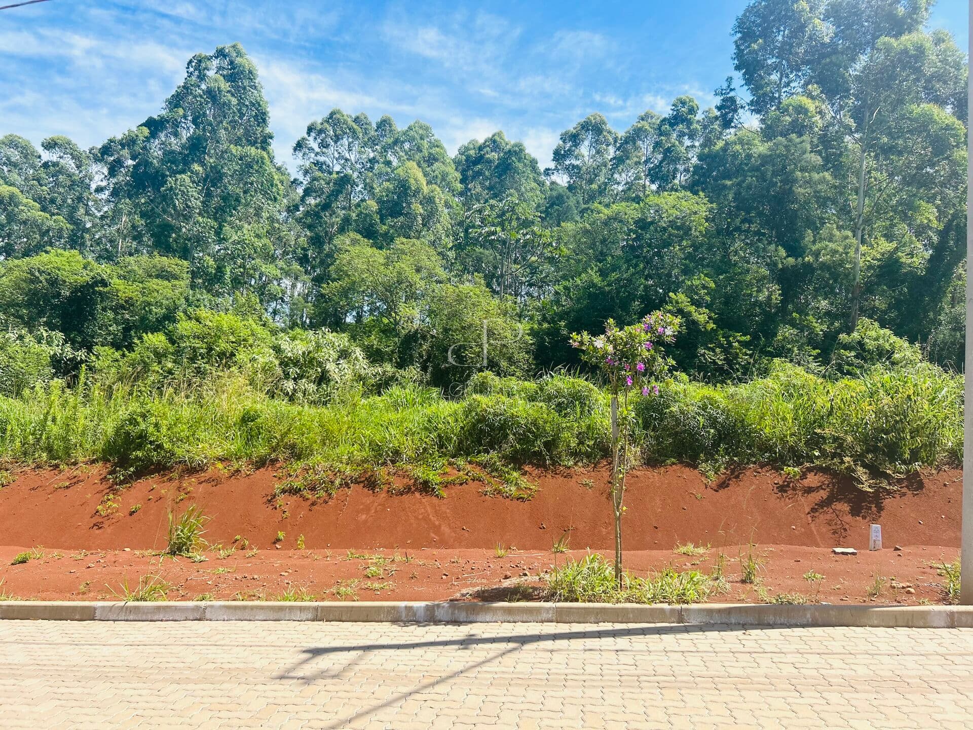 Lote/Terreno em Dois Irmãos - Vale Direito