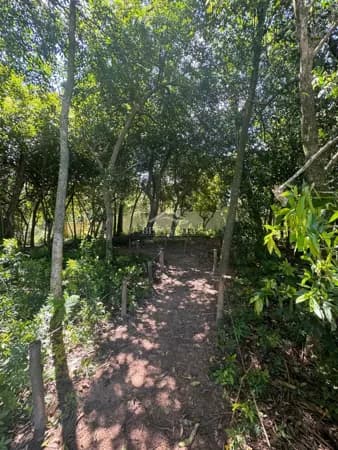 Lote/Terreno em Nova Santa Rita - Centro