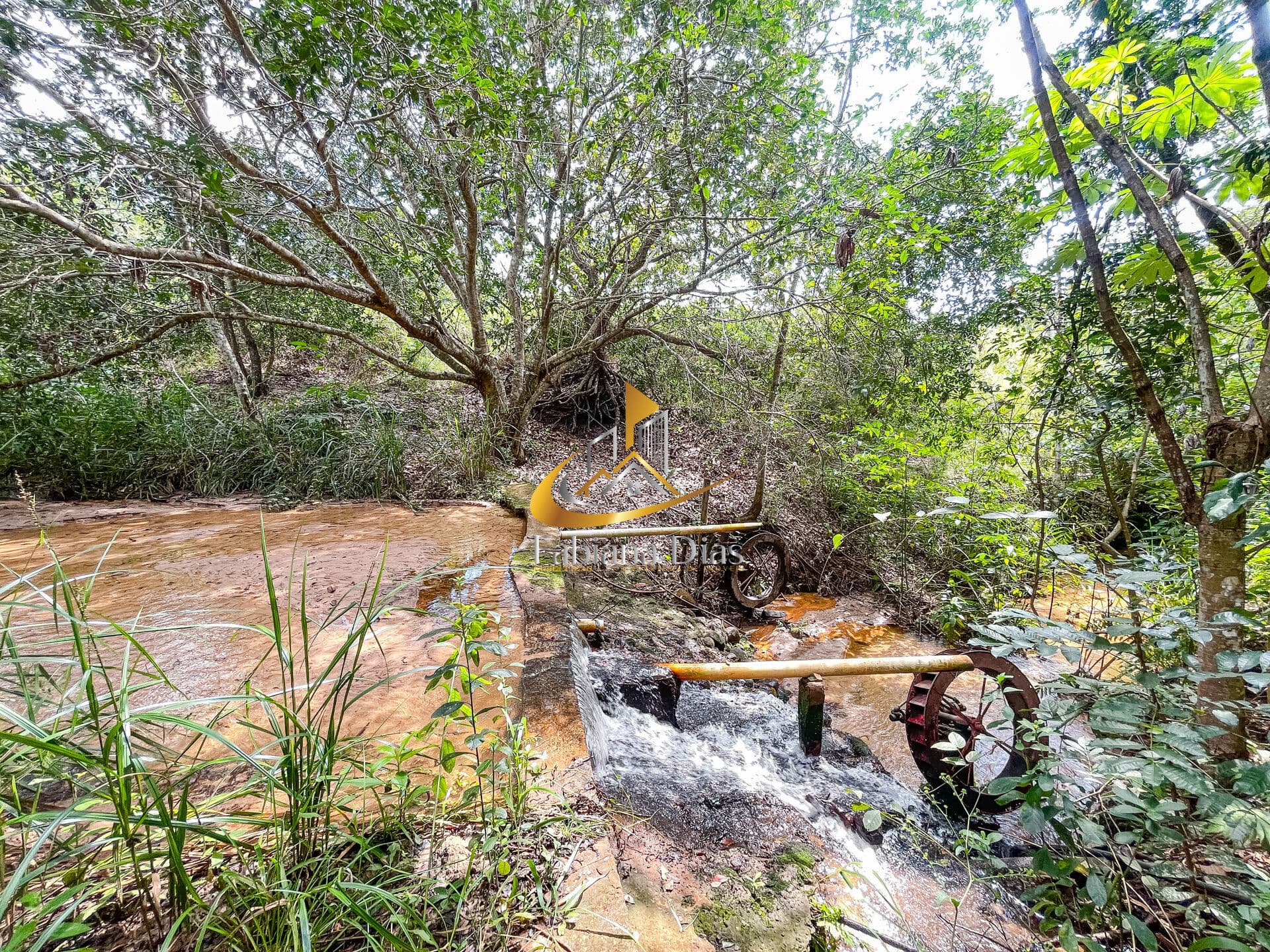 Excelente Chácara à Venda em Rochedinho/MS — Natureza, Tranquilidade e Qualidade de Vida