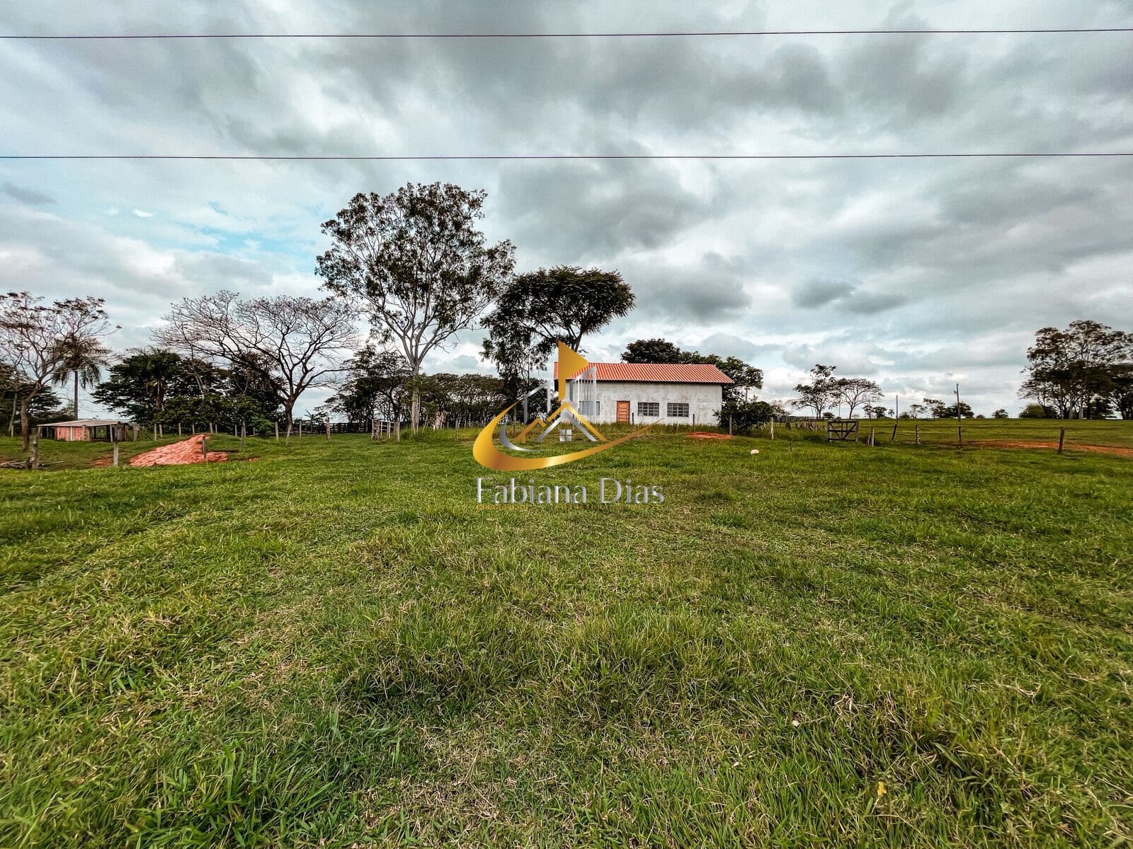 Fazenda/Sítios/Chácaras em Ivinhema - Centro