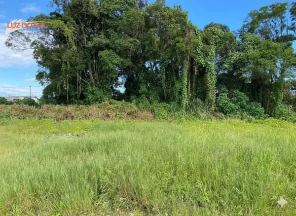 Terreno de 466m² Pronto para Construir!