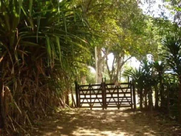 Sítio à venda no bairro Centro em Simões Filho/BA