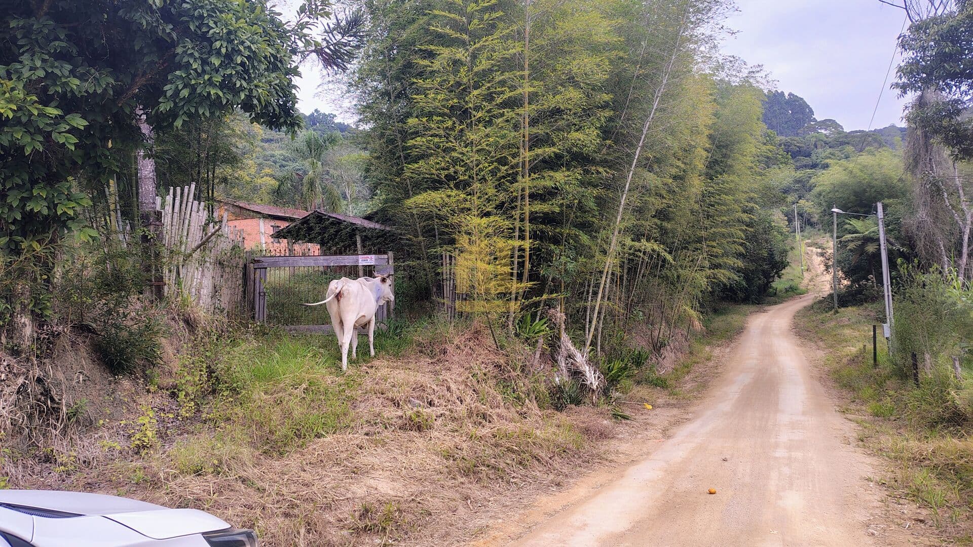 Área Rural em São João (Margem Direita), Tubarão/SC