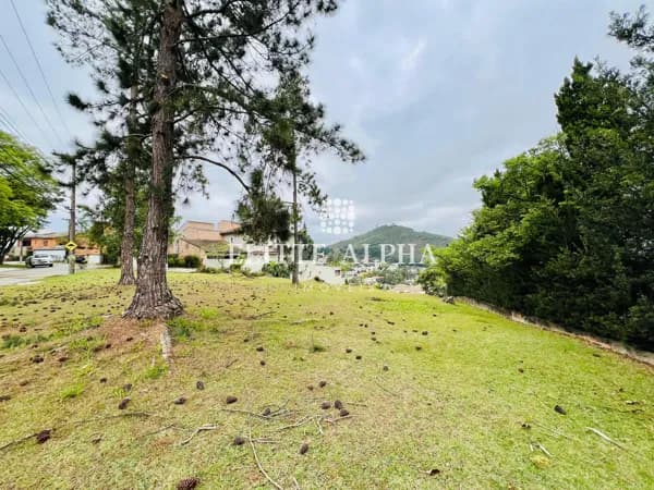 Terreno Exclusivo à Venda no Residencial 10 – Alphaville – 1.431,97 m² de Possibilidades
