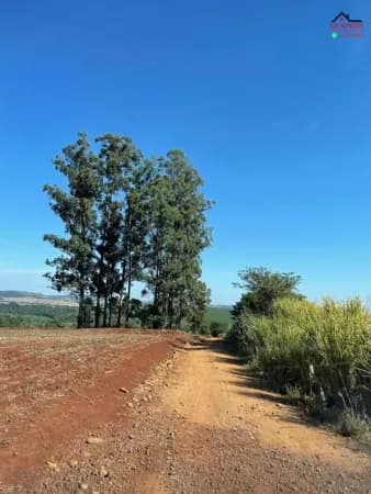 Fazenda/Sítios/Chácaras em Jataizinho - Centro