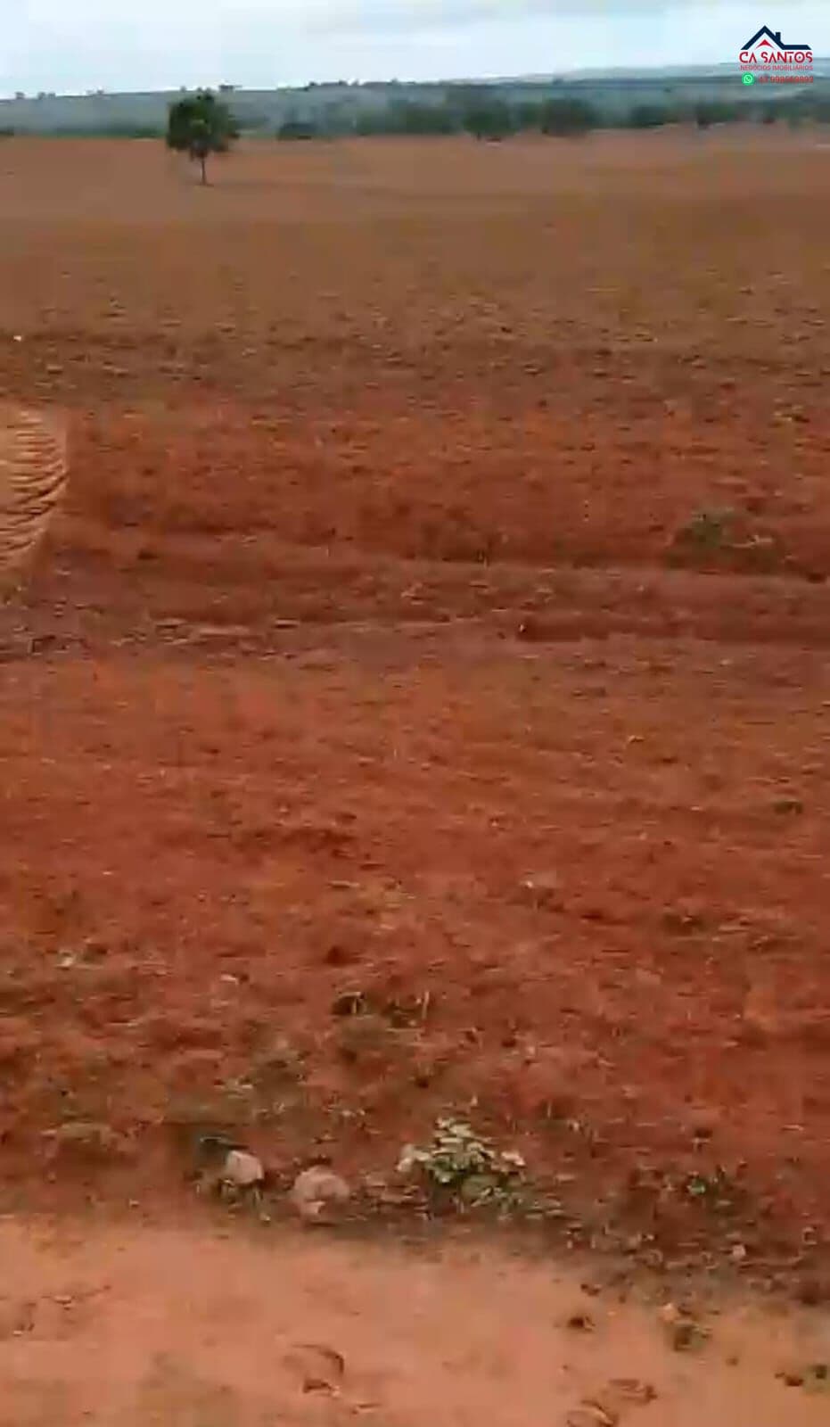 Fazenda para arrendamento de lavoura em santo Antônio do Leste/MT