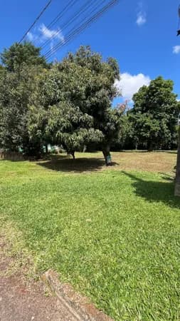 Terreno de 1.610m²