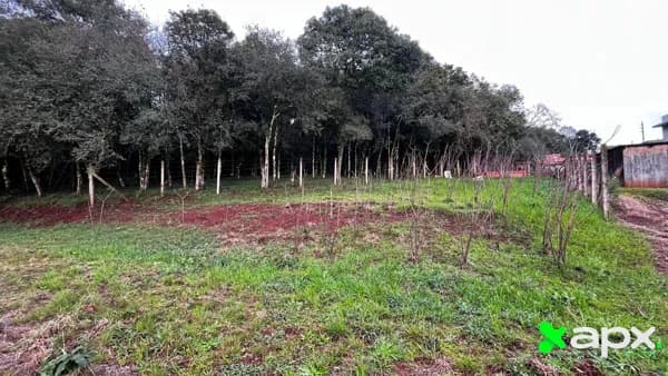 Terreno em Loteamento em Vila Verde (Sommer), Carazinho/RS