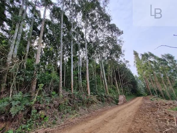 Fazenda/Sítios/Chácaras em Rolante - Boa Esperança