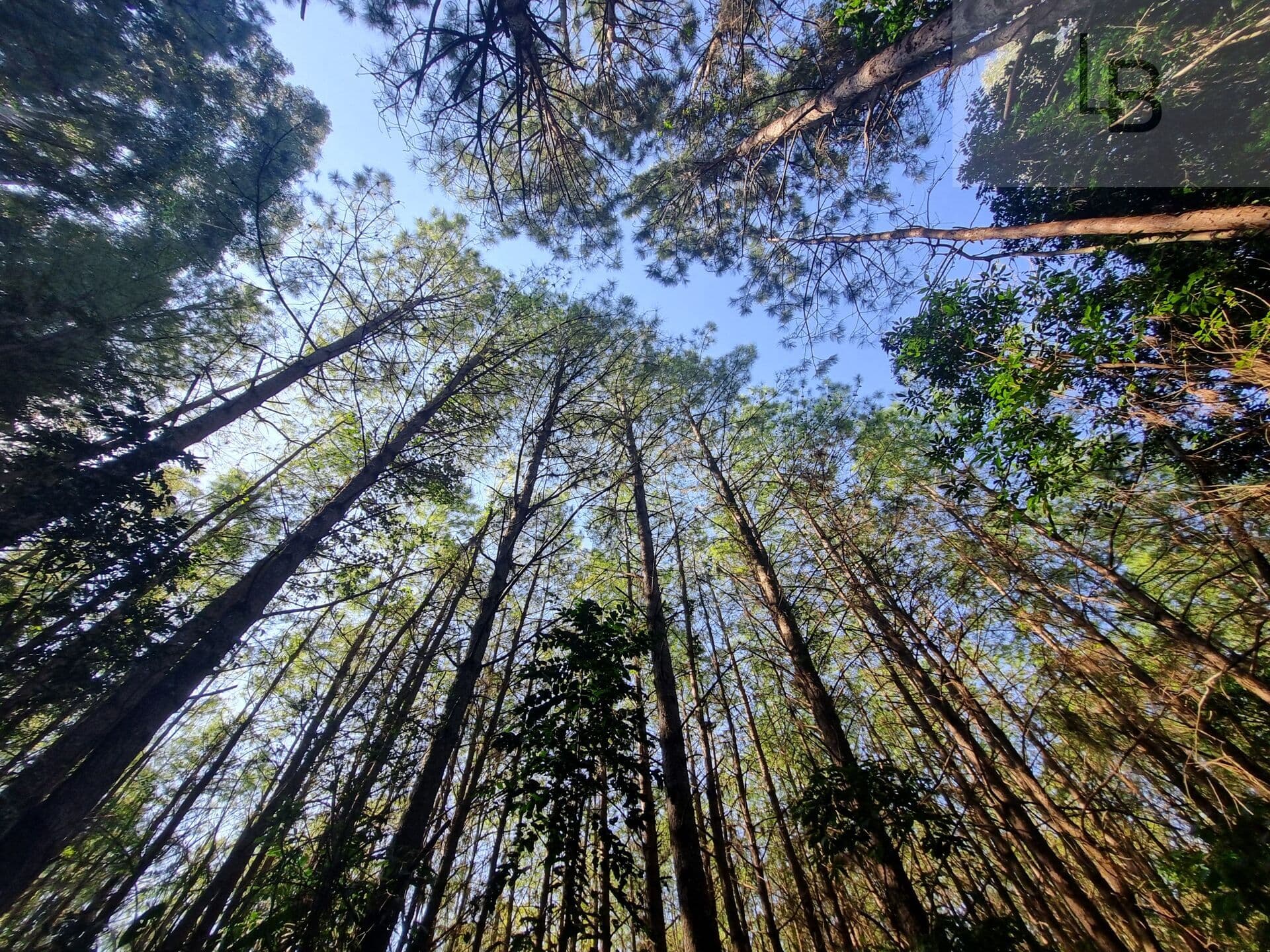 Área Rural em Boa Esperança, Rolante/RS
