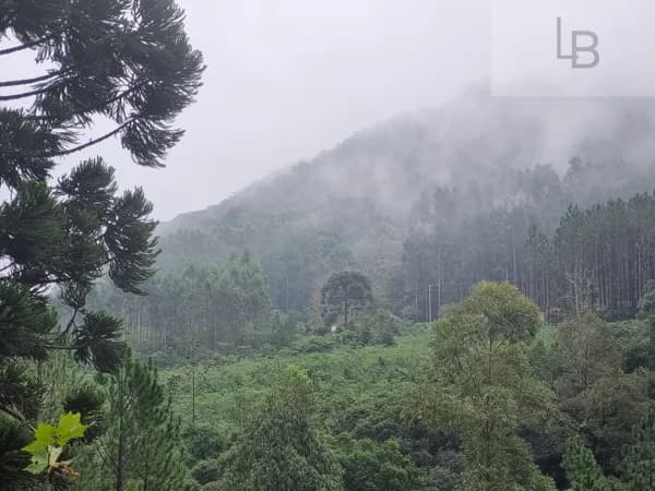 Fazenda/Sítios/Chácaras em Rolante - Boa Esperança