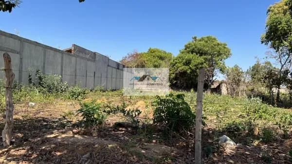 Lote/Terreno em Curvelo - Ponte Nova