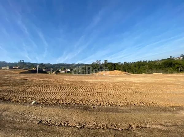 Lote/Terreno em Criciúma - Archimedes Naspolini