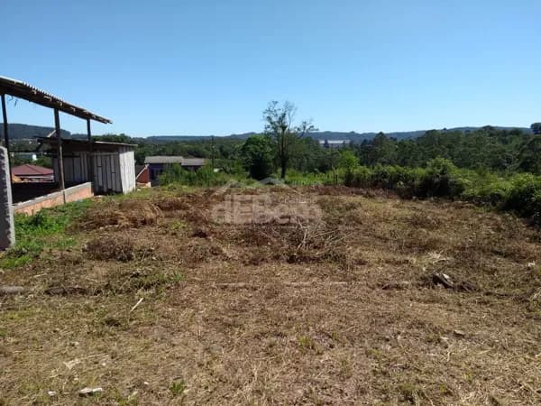 Lote/Terreno em Criciúma - Laranjinha