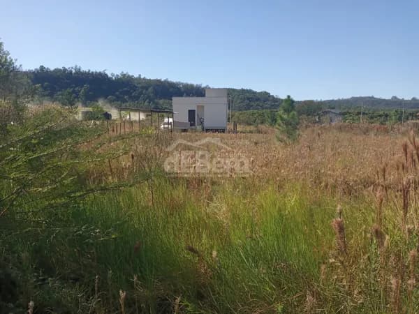 Lote/Terreno em Siderópolis - Centro