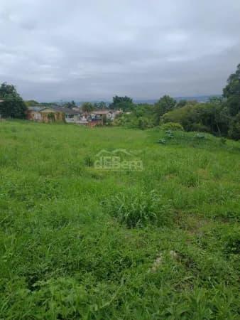 Lote/Terreno em Criciúma - Milanese