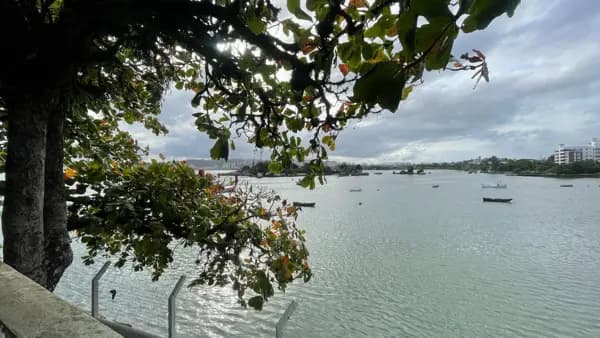 Apartamento à venda no bairro Bom Abrigo em Florianópolis/SC