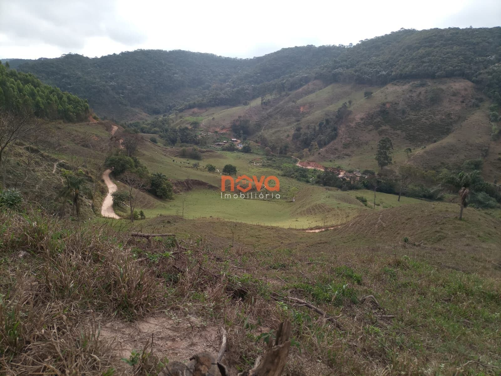 Fazenda/Sítios/Chácaras em São Domingos do Prata - Santana do Alfié