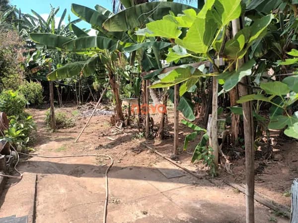 Casa Padrão à Venda para Investimento
