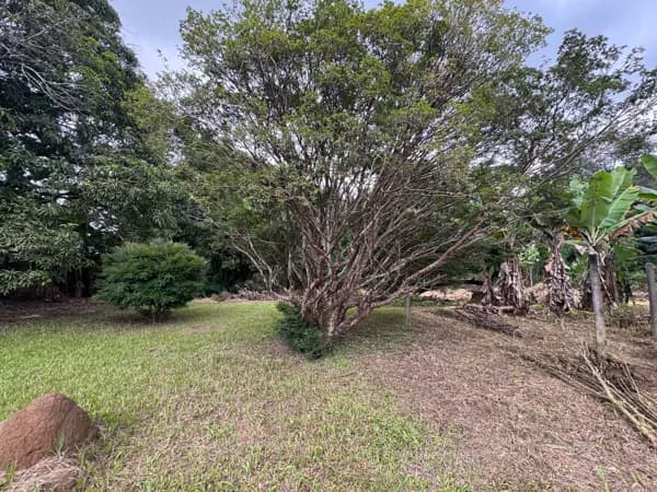 Terreno Lote em Condomínio Vale do Ouro, Ribeirão das Neves/MG