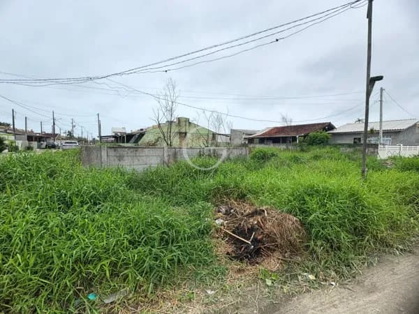Lote/Terreno em Pontal do Paraná - Beltrami