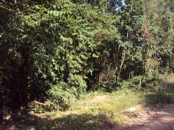 Terreno Residencial à venda, Parque Residencial Itaguaçu, Atibaia - TE0504.
