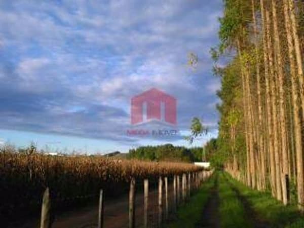 Sítio Rural à venda, , - SI0010.