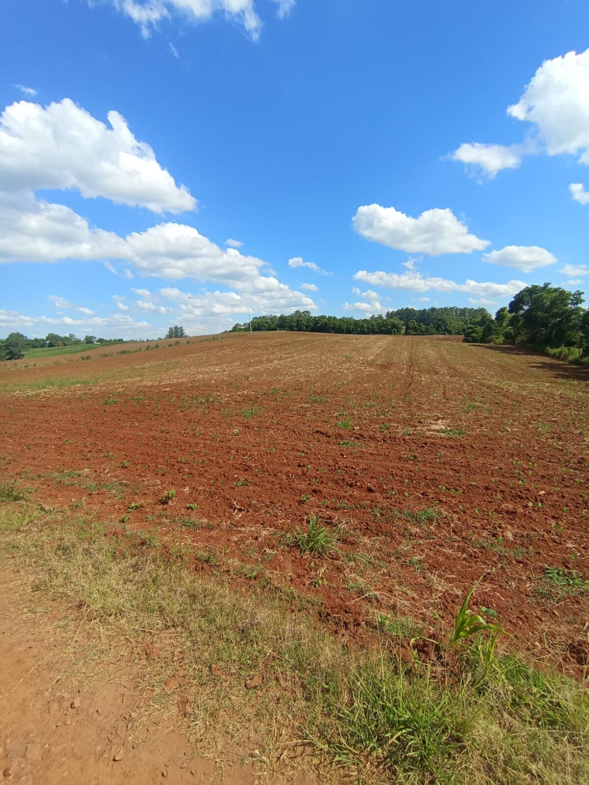 Fazenda/Sítios/Chácaras em Venâncio Aires - Linha 17 de Junho