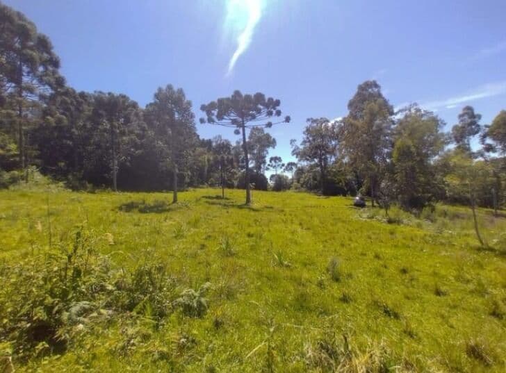 Fazenda/Sítios/Chácaras em Venâncio Aires - Vila Deodoro