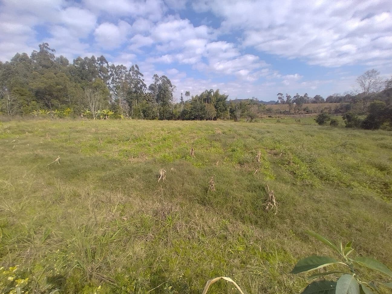 Fazenda/Sítios/Chácaras em Venâncio Aires - Linha Sapé