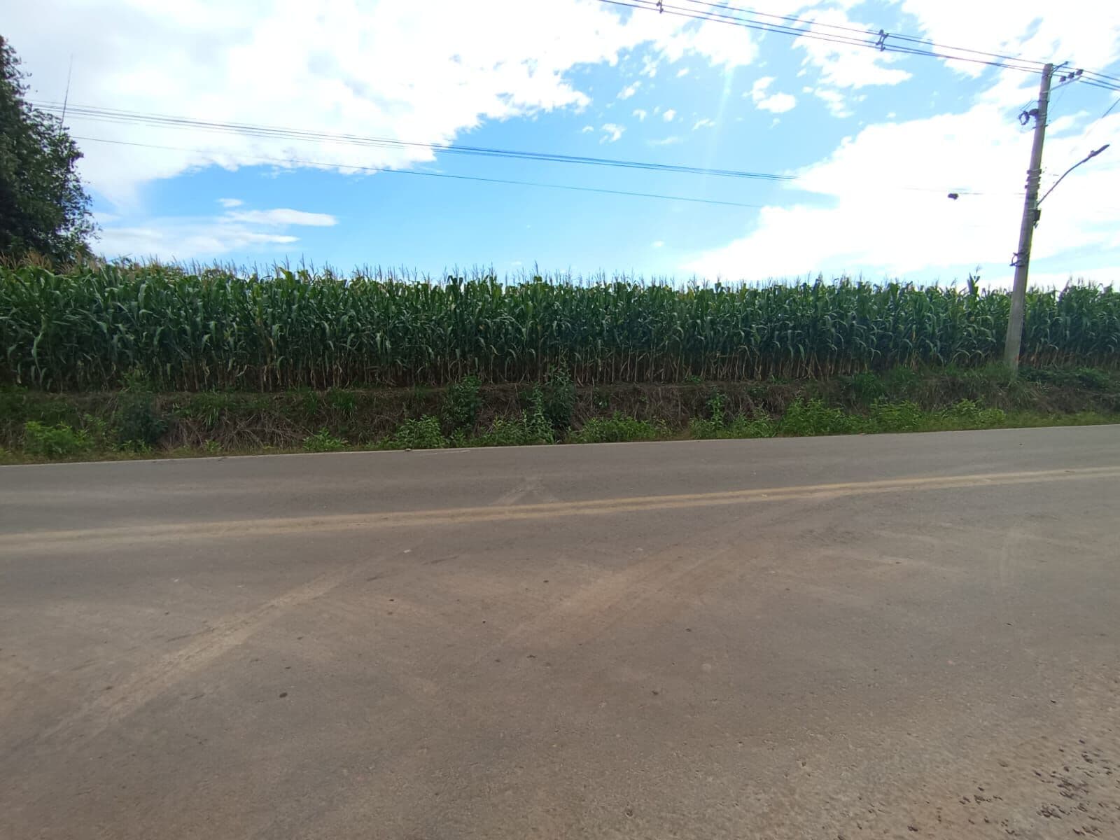 Lote/Terreno em Venâncio Aires - Linha Sapé